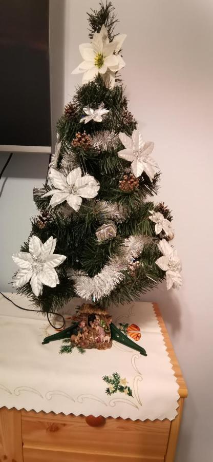Apartament Milka W Dusznikach Zdroju ดุสนิกิ สดรอย ภายนอก รูปภาพ