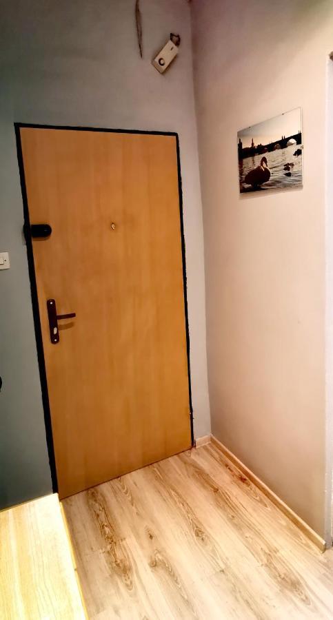 Apartament Milka W Dusznikach Zdroju ดุสนิกิ สดรอย ภายนอก รูปภาพ