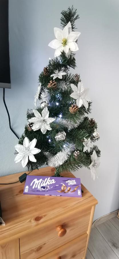 Apartament Milka W Dusznikach Zdroju ดุสนิกิ สดรอย ภายนอก รูปภาพ